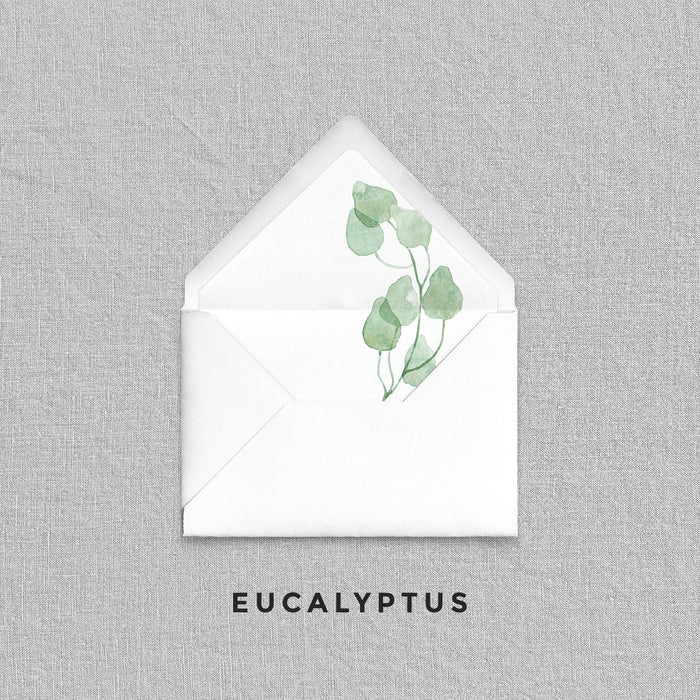 Eucalyptus Envelope Liners